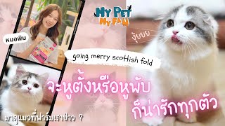 EP.6 - Going Merry Scottish Fold : ถ้าแมวที่ห้องยังไม่มี แวะมาดูที่ฟาร์มนี้เลยจ้า