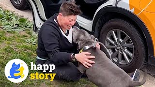 Heartwarming Pet Reunions: 2 Million Meals and Countless Happy Tails! 🐶❤️| HAPP