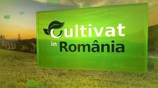 Cultivat in Romania - 19 iulie 2014