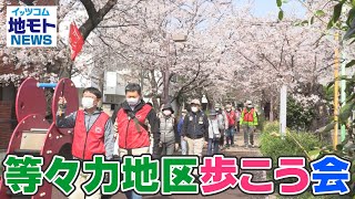 地モトNEWS【等々力地区歩こう会】2022/4/8放送