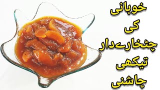 khubani ki Chashni banane ka tarika |  Khubani ki Chatni Like BaBa Food RRC by hunar