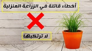 أخطاء قاتلة في الزراعة المنزلية تجنبها فورا