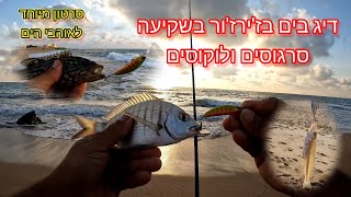 דיג בשקיעה בז'ירז'ור אולטרה לייט בים.  סרגוסים ולוקוסים.