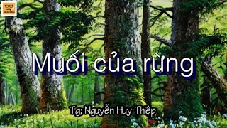 ĐỌC TRUYỆN: MUỐI CỦA RỪNG.