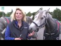 horseware – behind the scenes at the factory