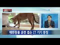 science u0026 it 애완동물도 즐기는 첨단 it 기술 ytn 사이언스