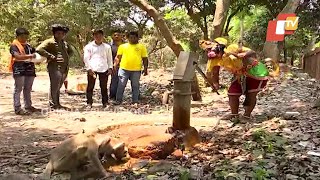 Bhubaneswar - Members Of Social Organisation Feed Monkeys On Ram Navami