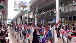 よさこい塾・ありがた屋～2018高知よさこい祭り全国大会（帯屋町筋会場）