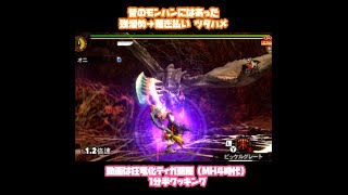 昔のモンハンはこんなハメが出来ました【MH4G】大剣