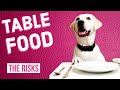 Is It Safe to Feed Table Food to Your Dog?