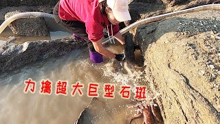 八爪鱼打窝底潮杂石坑，力擒超大的巨型大石斑，一条7斤卖1400元