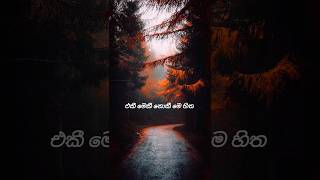 එකී මෙකී නොකී ( කෙල්ලේ Jolly  ) 😎 #viral #songlyrics #shortvideo @Rishmusic