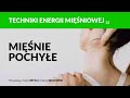 Mięśnie pochyłe. Terapia i autoterapia. Techniki energii mięśniowej. Odcinek 16