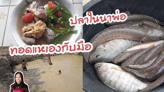 มาทอดแหได้ปลาข่อใหญ่ | หนองน้ำนิดเดียวปลาเต็มเลย