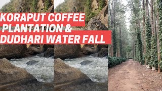 koraput coffee plantation \u0026 Dudhari waterfall koraput