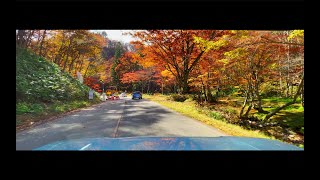 We took a touring drive along the Seseragi Kaido Road in the fall foliage season in our Taft.