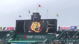 2021/03/12 阪神スタメン発表