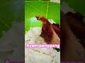 Ayam panggang