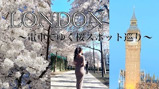 【ロンドン桜名所】イギリスで桜を見る🌸電車旅｜おすすめ観光スポットもまわるよ