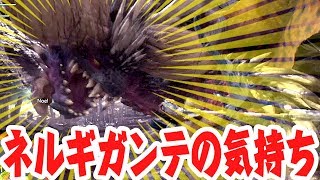 ネルギガンテの気持ちになるバグ【MHW】モンスターハンターワールド