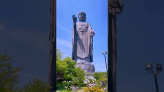 📍Ushiku Daibutsu, Ibaraki, Japan 🇯🇵 #japan  #japantraveltips #explore #culture