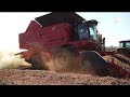 Amazing Modern Agriculture Peanut Harvest Technology, Peanuts processing  Factory | Machines