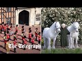 The Queen's 96th birthday is celebrated with gun salutes and the Coldstream Guards band parade