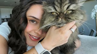 All about the Opera Cat | Todo sobre el Michi Opera