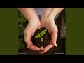 Planting the Seeds