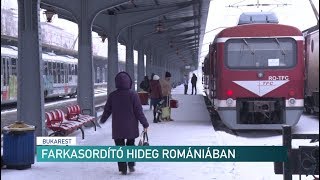 Farkasordító hideg Romániában – Erdélyi Magyar Televízió