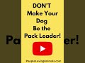 How to Help Fearful Dogs | Anxious Dogs | Helping an Insecure Dog | Nervous Dogs | Be Pack Leader