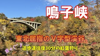 【鳴子峡紅葉】鳴子峡遊歩道を往復30分の紅葉狩り！中山平温泉とグルメ