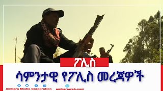 ሳምንታዊ የፖሊስ መረጃዎች