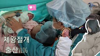 [VLOG] C-section at 39 weeks 3days pregnancy💗