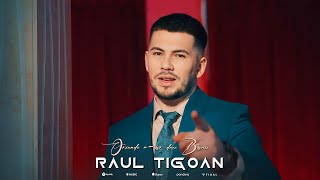 Raul Tigoan - Oriunde m-ar duce banii || Official Video 2024