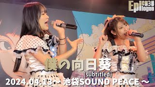 【エピック・エピローグ第3番】「僕の向日葵」《歌詞付》2024.04.13 池袋SOUND PEACE《4K画像》