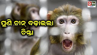 ପୁଣି ଚୀନ ବଢ଼ାଇଲା ଚିନ୍ତା | Odia news live updates #dtvodia