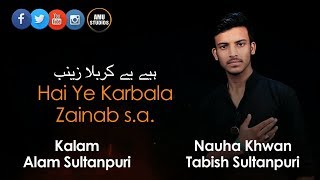 Tabish Sultanpuri : Hai Ye Karbala Zainab s.a.w - 2018 Nauha