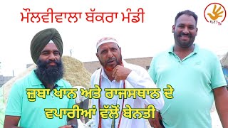 ਮੌਲਵੀਵਾਲਾ ਬੱਕਰਾ ਮੰਡੀ ॥ Molviwala Bakra Mandi ॥ @ILTILANATV