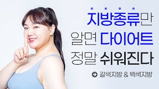 [줄기세포] 어렵기만한 다이어트, 지방종류만 알면 다이어트 정말 쉬워진다! 백화진 이학박사가 알려주는 지방이야기! [줄기세포가슴성형][줄기세포가슴이식]