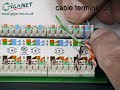 cat 6 cabling giganet category 6 utp connector termination