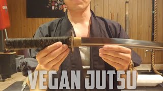 Yongli Wakizashi T10 The Best $100 Samurai Sword?