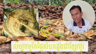 សិប្បកម្មកែច្នៃសំបកដូងជាខ្សែរពួរ coconut husk handcraft