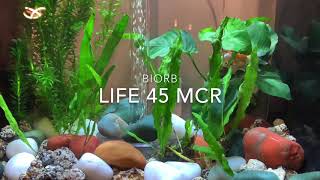 BiOrb Life 45 MCR Black - Aquarium | Fish Tank