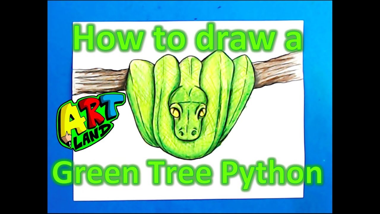 How To Draw A Green Tree Python Youtube