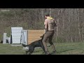 Future Tolland Eagle Scout creates an obstacle course for state police K9s