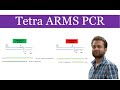 Tetra ARMS PCR: what it is and how it works