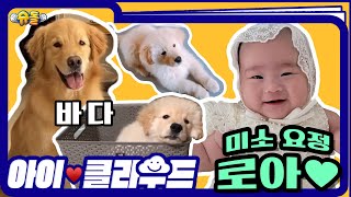 [아이❤️클라우드☁️] 눈웃음 아기 천사 로아｜Adorable Baby Moments [슈돌유튜브]