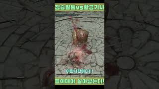 만렙 엘든링 PVP 1vs1 