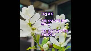 가침박달나무의 깨침